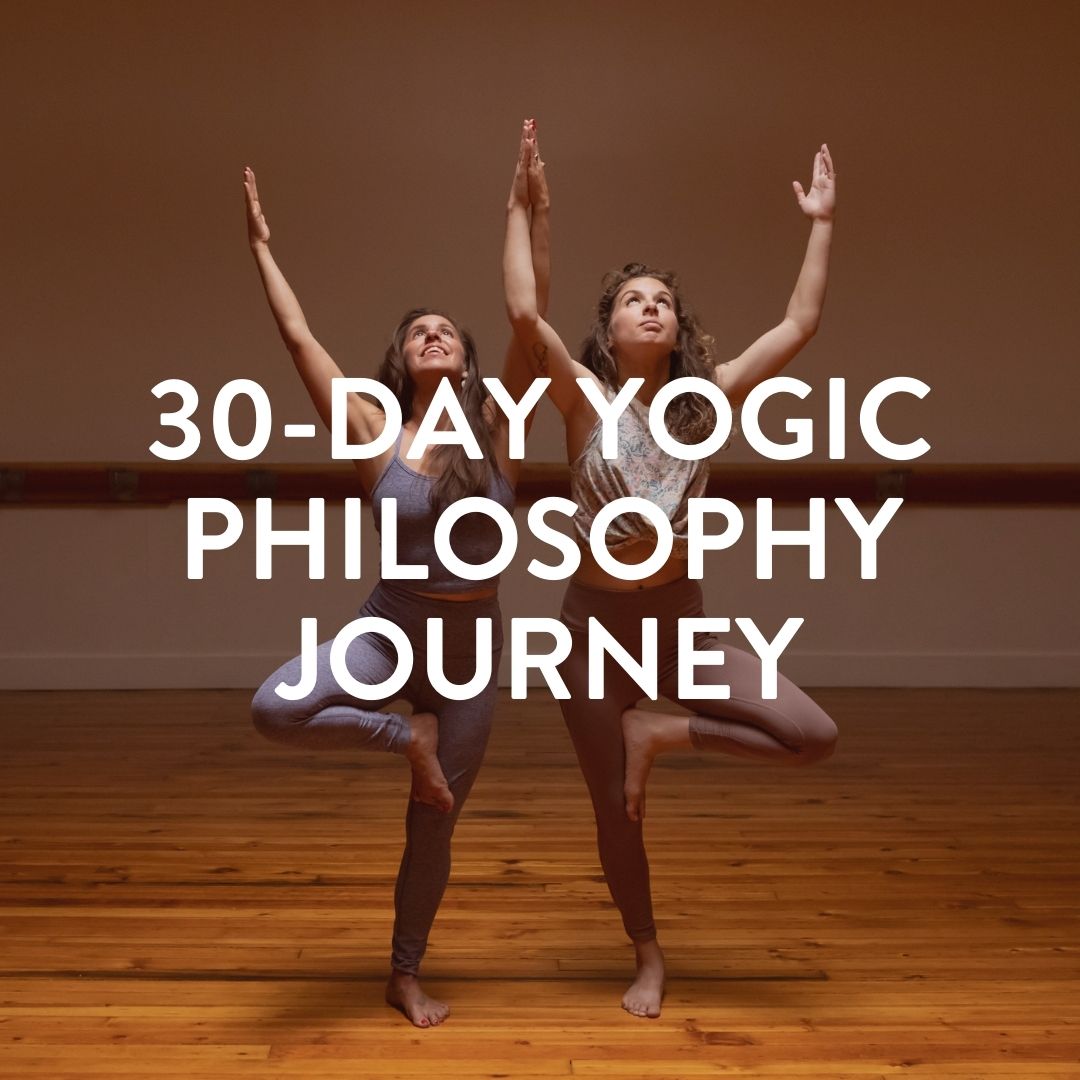 Yogic Philosophy Journey